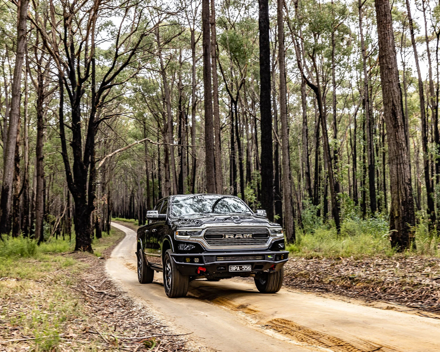 RAID-X BULL BAR - RAM 1500 DT (18-24)