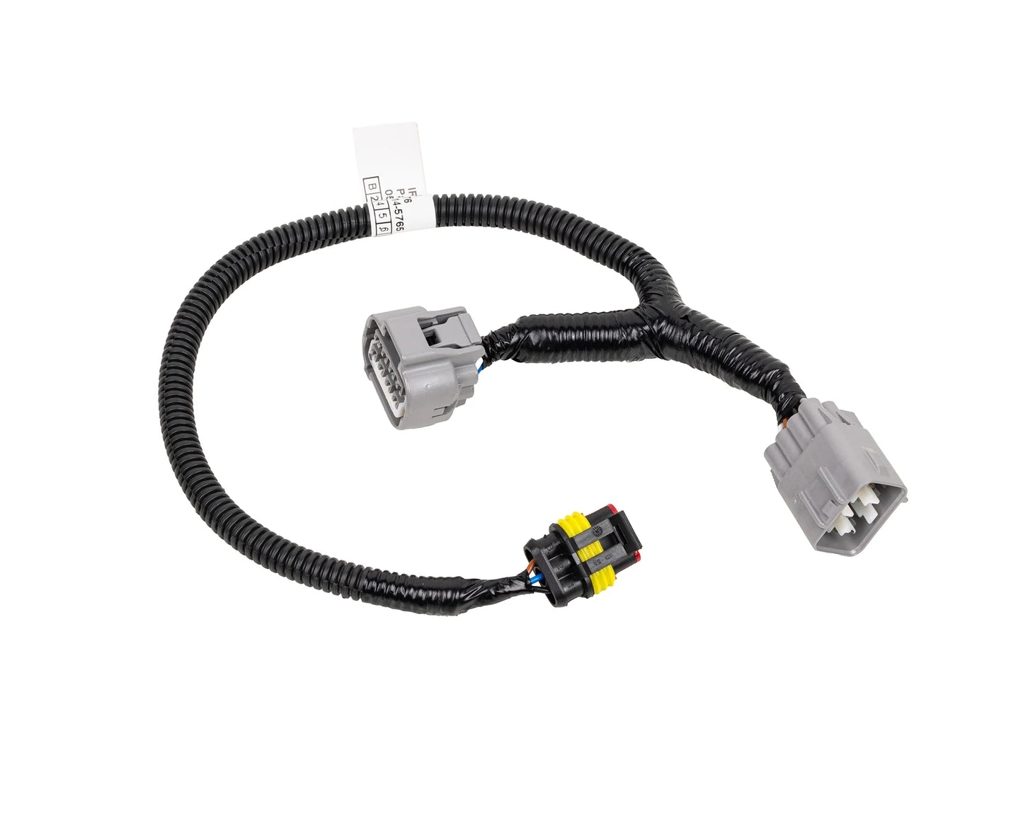 LIGHT PATCH LOOM - N80 HILUX (20-25)