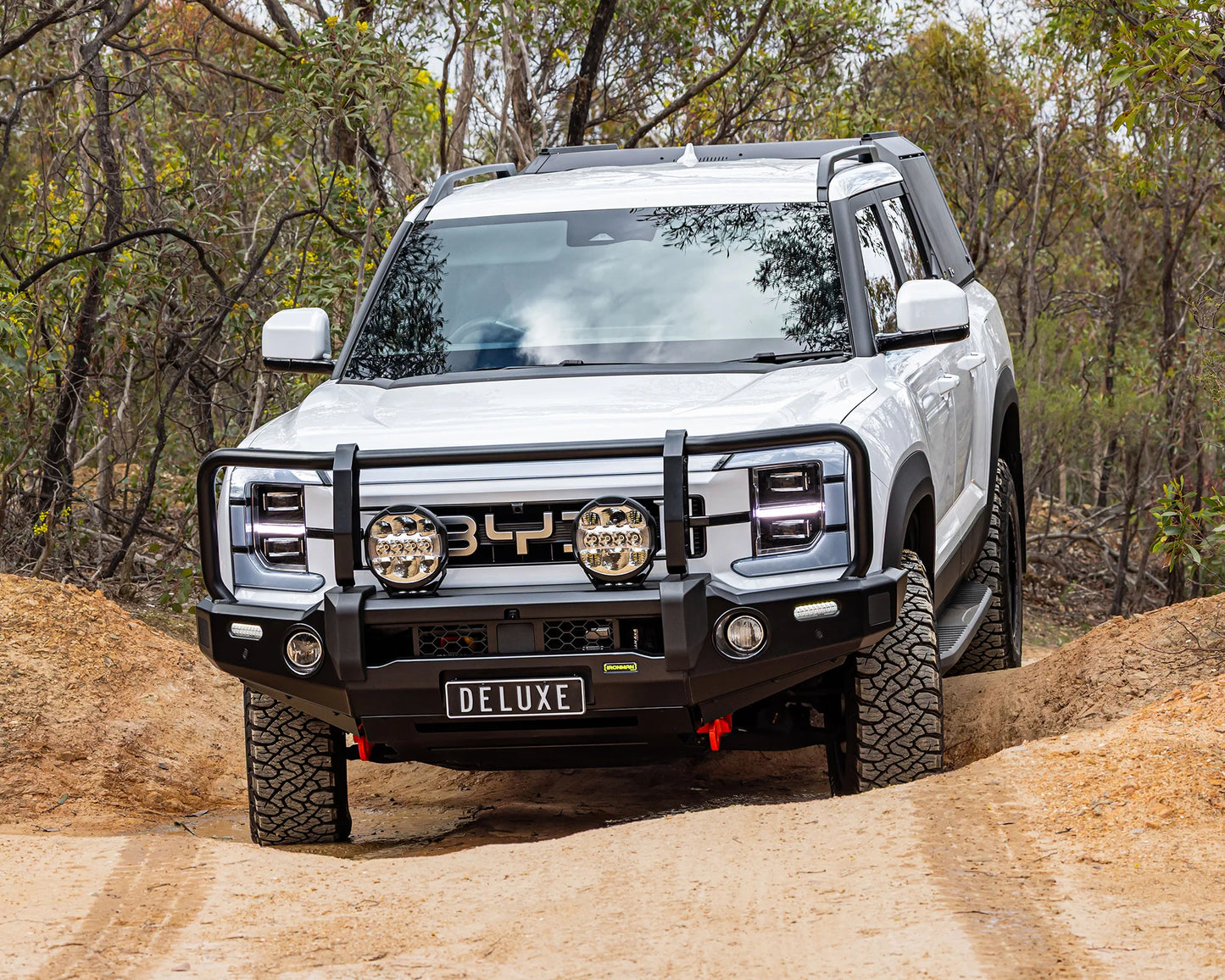 DELUXE BULL BAR - BYD SHARK 6