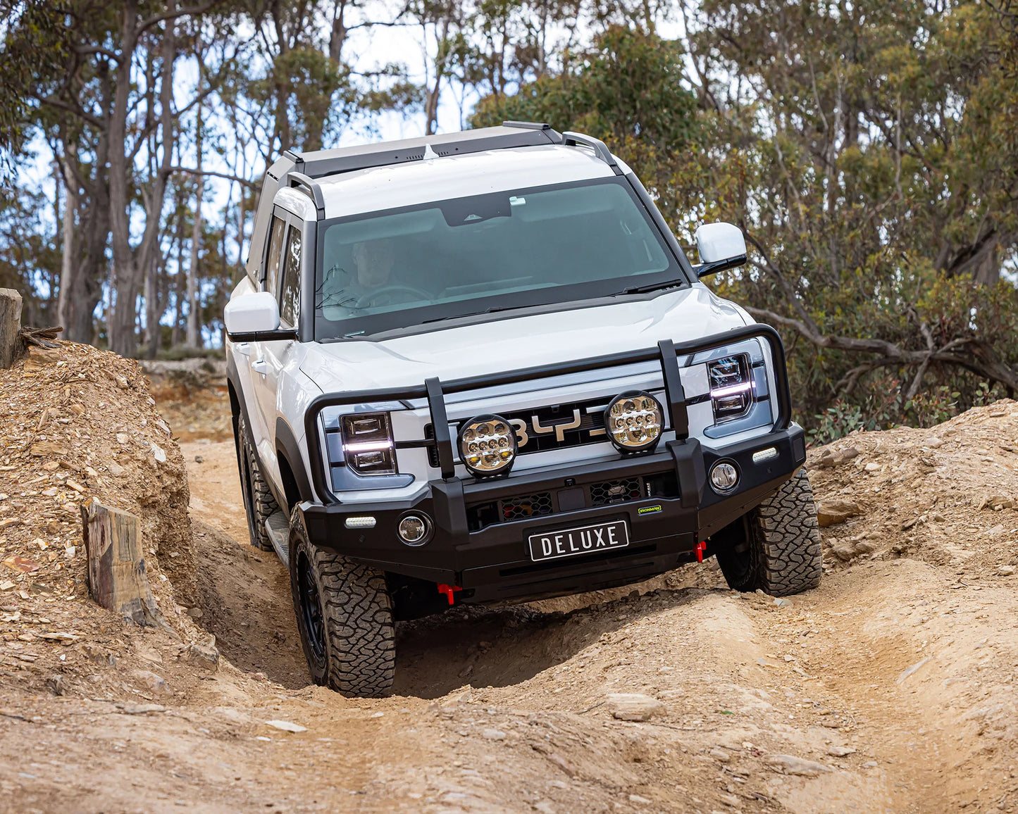 DELUXE BULL BAR - BYD SHARK 6