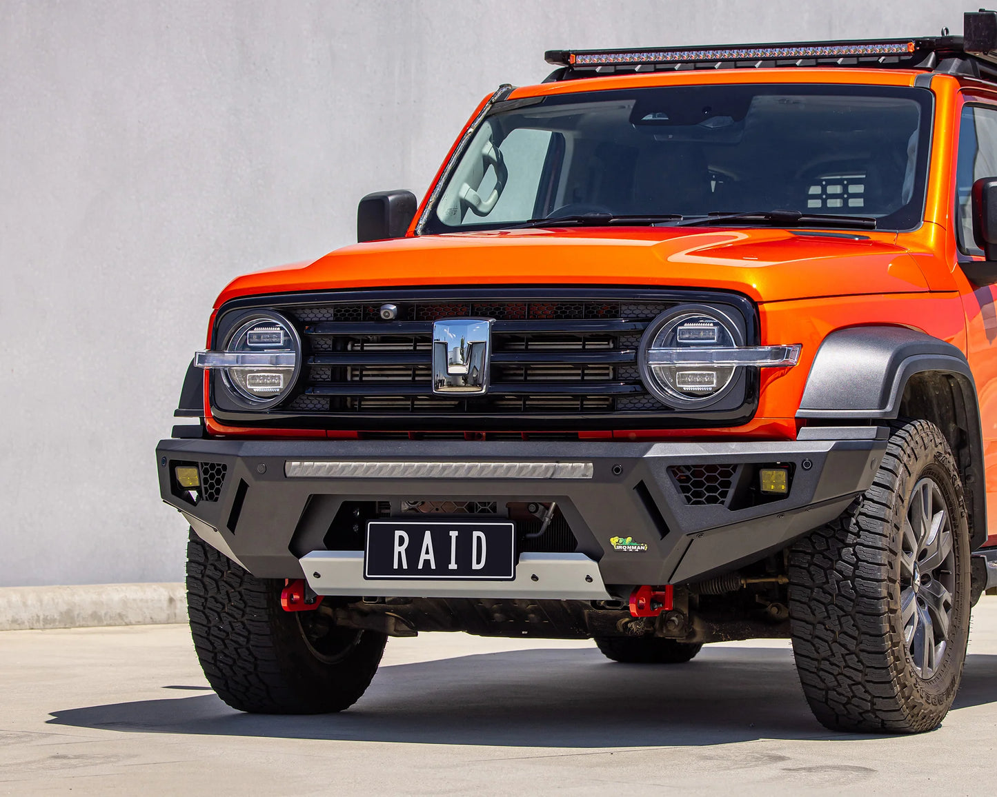 RAID BULL BAR - GWM TANK 300 (23+)